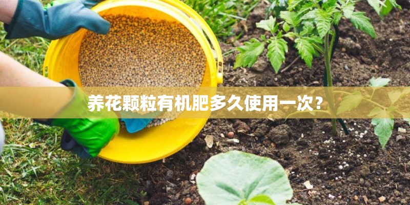 新买一个尤克里里怎么样安排时间才能更好学好？