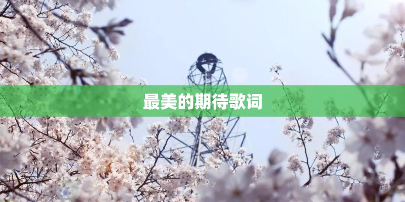 快乐老家歌词 快乐老家歌词是什么
