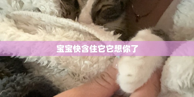 宝宝快含住它它想你了 宝宝快含住它它想你了