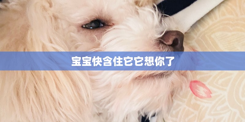 宝宝快含住它它想你了 宝宝快含住它它想你了