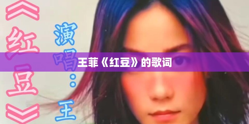 王菲《红豆》的歌词
