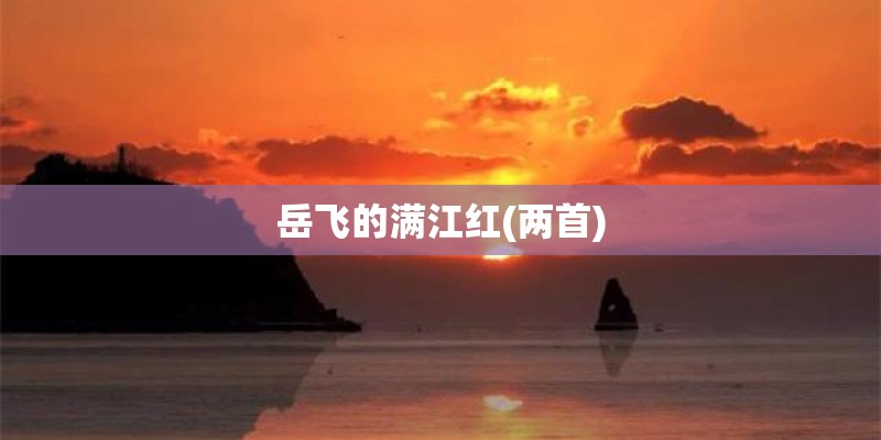 岳飞的满江红(两首) 岳飞的满江红(两首)