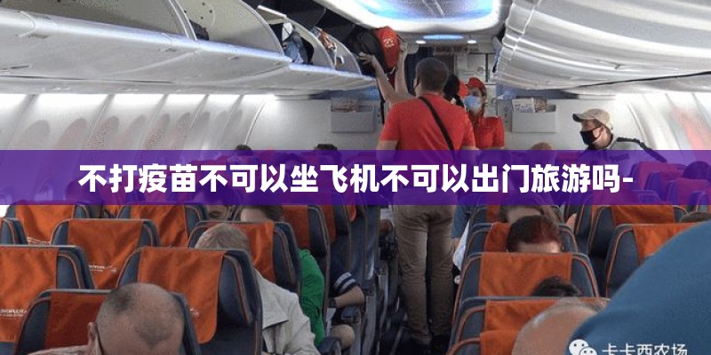 不打疫苗不可以坐飞机不可以出门旅游吗-