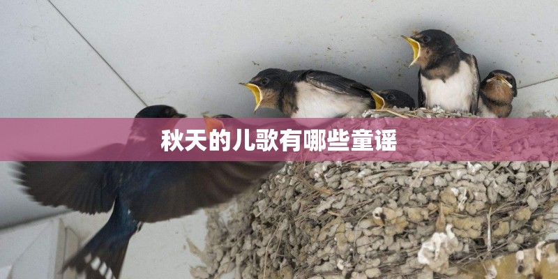 秋天的儿歌有哪些童谣