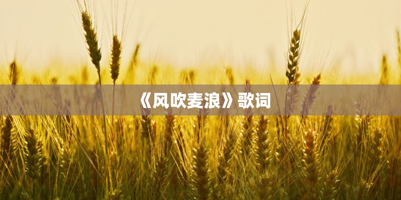《风吹麦浪》歌词 《风吹麦浪》歌词