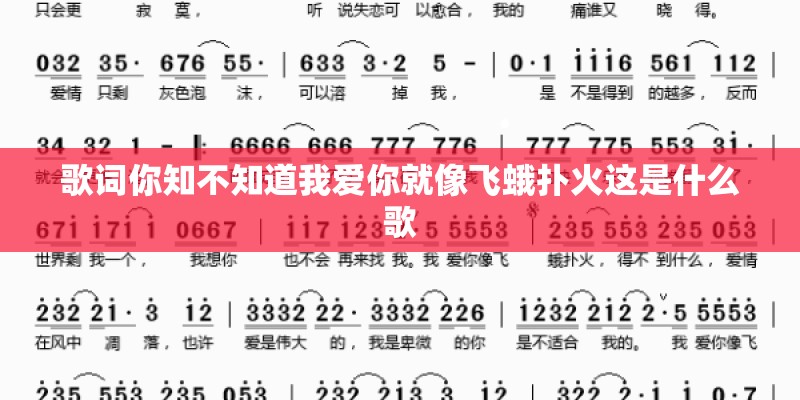 歌词你知不知道我爱你就像飞蛾扑火这是什么歌