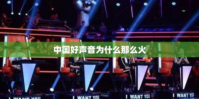 中国好声音为什么那么火