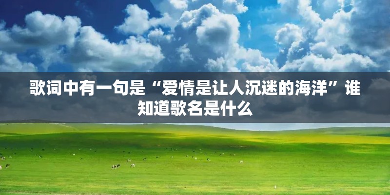 歌词中有一句是“爱情是让人沉迷的海洋”谁知道歌名是什么