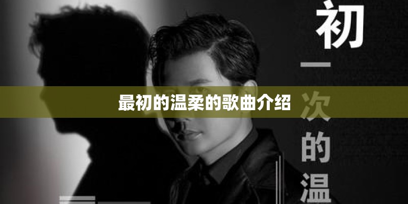 最初的温柔的歌曲介绍