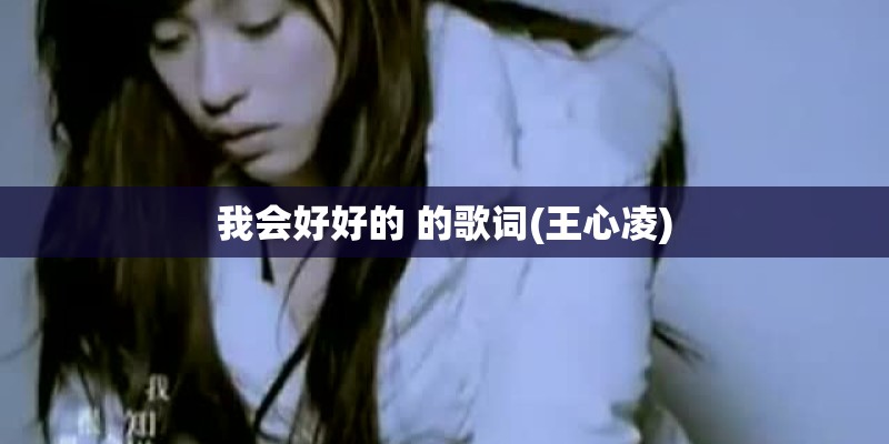 我会好好的 的歌词(王心凌)