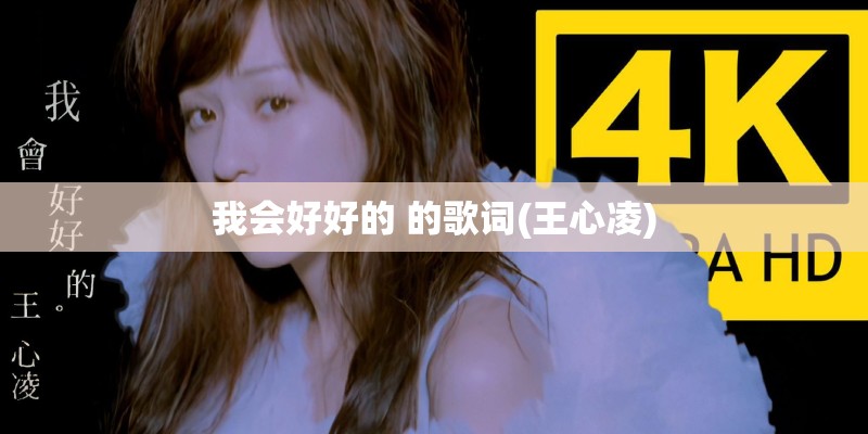 我会好好的 的歌词(王心凌)