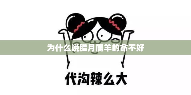 奇迹再现的歌词是什么意思？