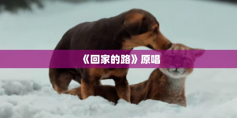女人梦见着火又扑灭了