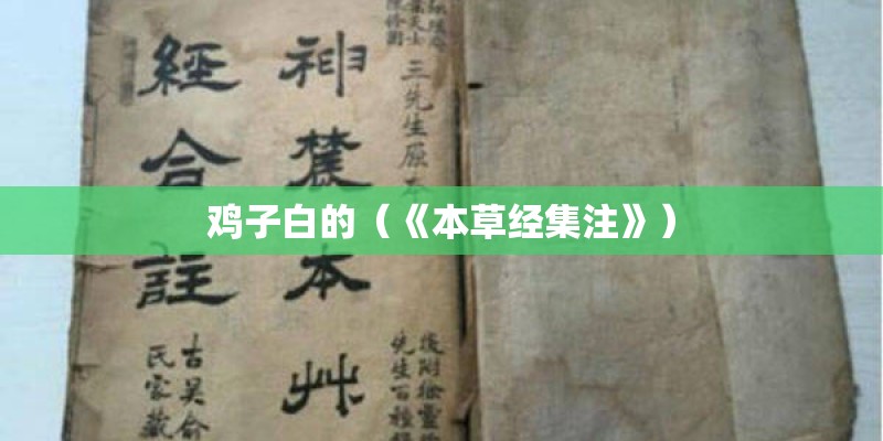 朋友歌词全部