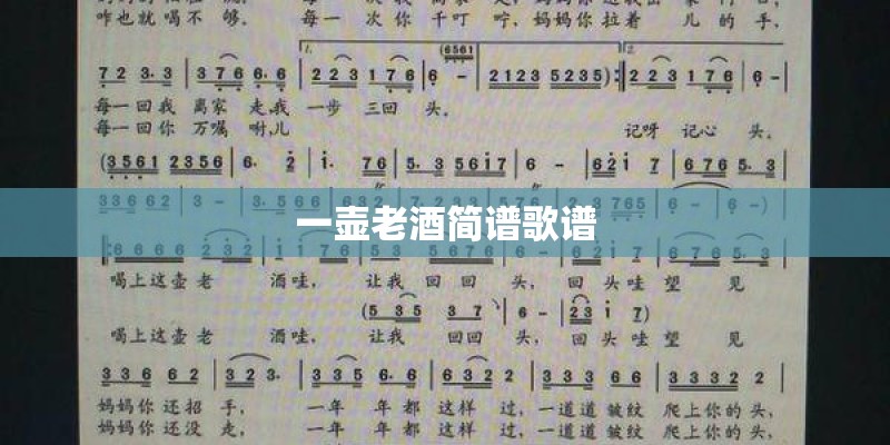 一壶老酒简谱歌谱