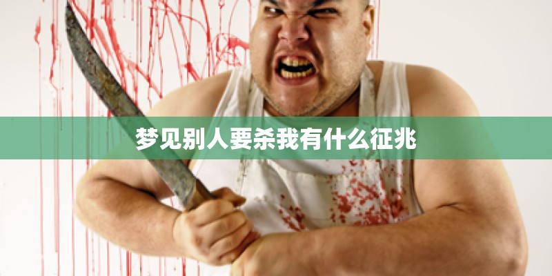 奇迹再现的歌词是什么意思？