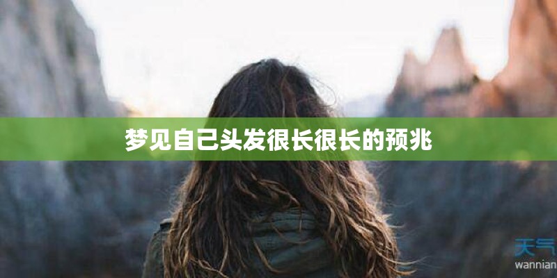 奇迹再现的歌词是什么意思？