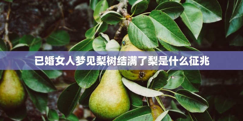 朋友歌词全部