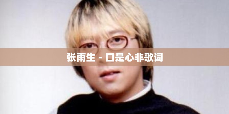 张雨生 - 口是心非歌词
