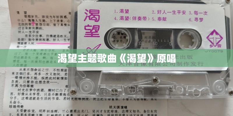 渴望主题歌曲《渴望》原唱