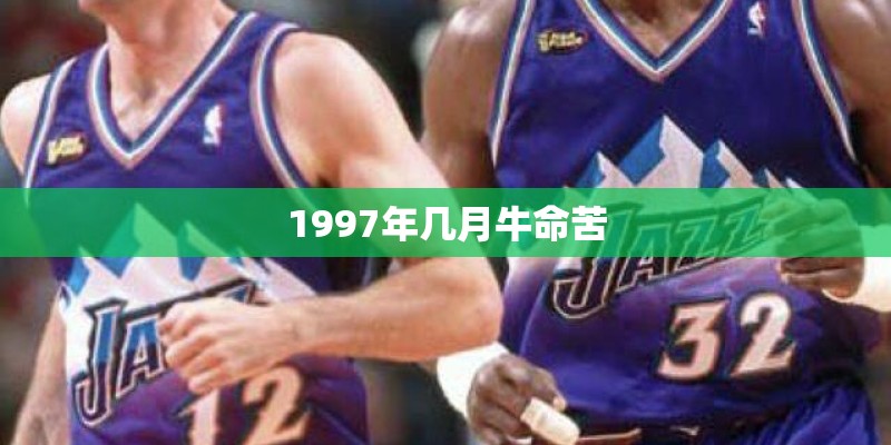 1997年几月牛命苦 1997年几月牛命苦