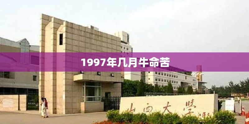 1997年几月牛命苦 1997年几月牛命苦