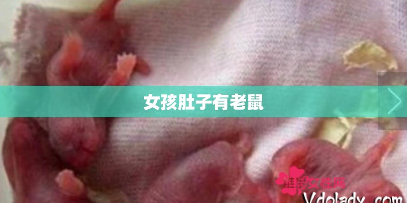 女孩肚子有老鼠
