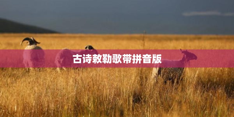 folk与person与human being以及别的关于“人”的说法的区别