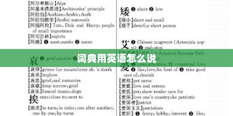 词典用英语怎么说