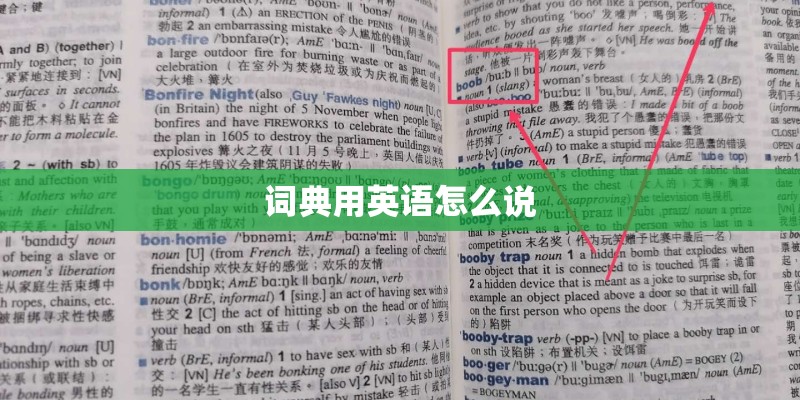 词典用英语怎么说