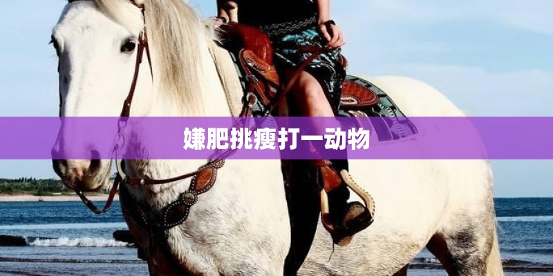 嫌肥挑瘦打一动物