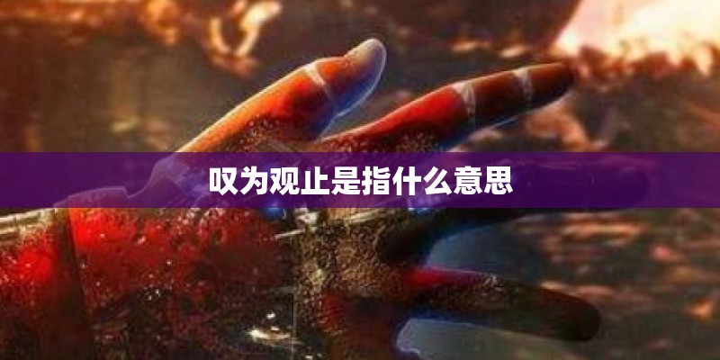 叹为观止是指什么意思