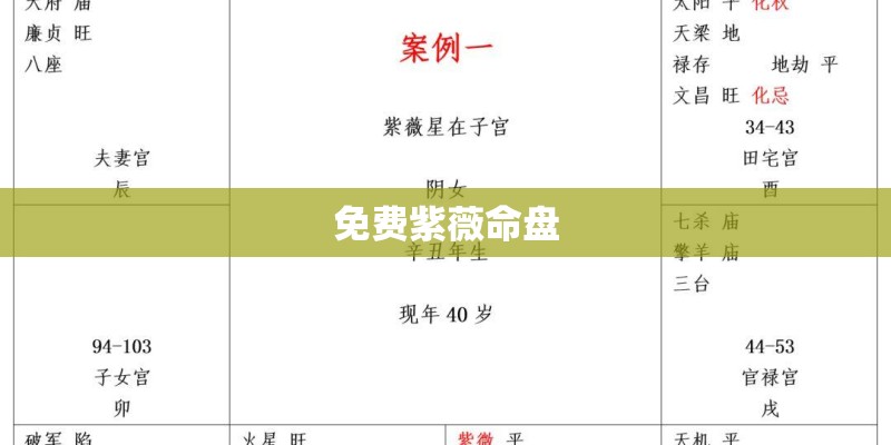 免费紫薇命盘