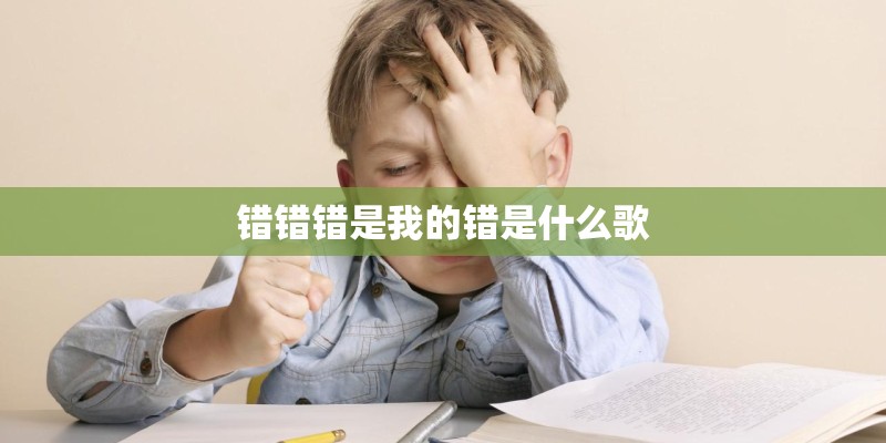 错错错是我的错是什么歌