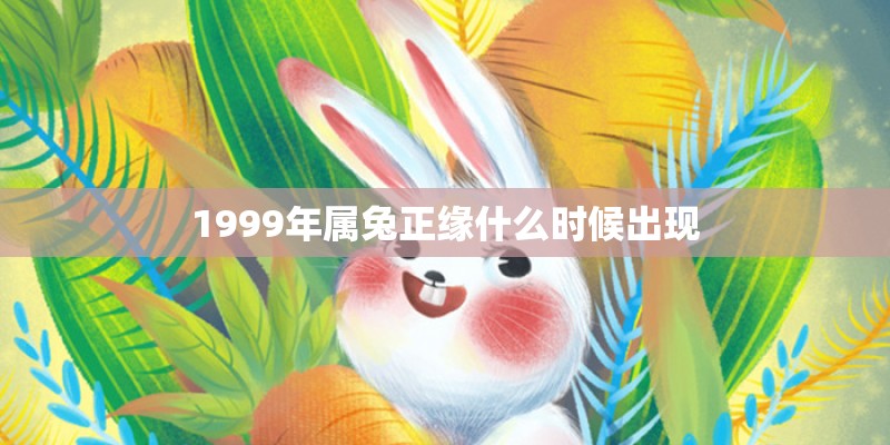 错错错是我的错是什么歌