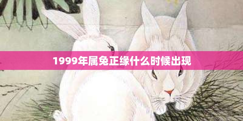 1999年属兔正缘什么时候出现