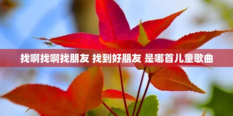 找啊找啊找朋友 找到好朋友 是哪首儿童歌曲