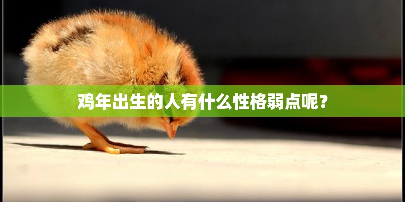 鸡年出生的人有什么性格弱点呢? 鸡年出生的人有什么性格弱点呢?