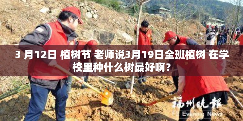 3 月12日 植树节 老师说3月19日全班植树 在学校里种什么树最好啊？