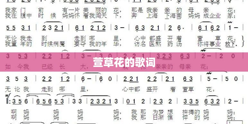萱草花的歌词 萱草花的歌词