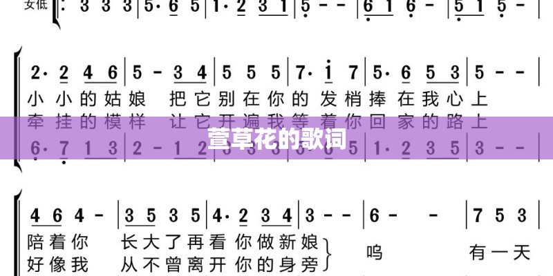 萱草花的歌词 萱草花的歌词