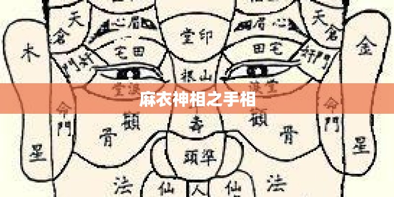 麻衣神相之手相