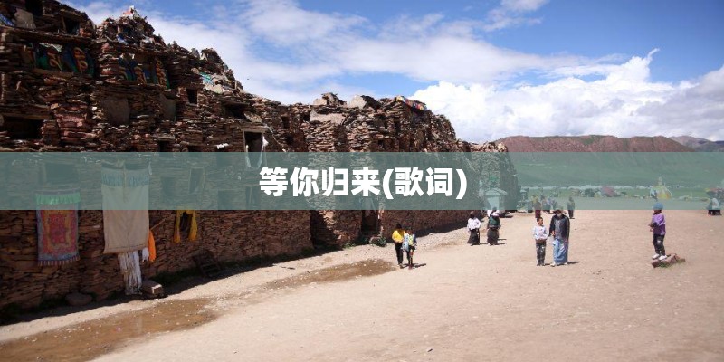 等你归来(歌词)
