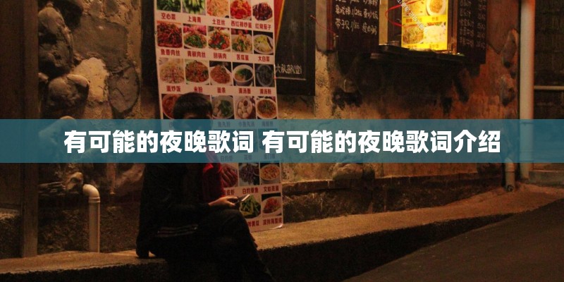 有可能的夜晚歌词 有可能的夜晚歌词介绍