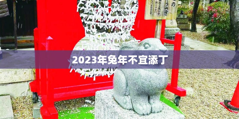2023年兔年不宜添丁