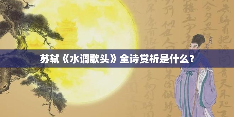 有可能的夜晚歌词 有可能的夜晚歌词介绍