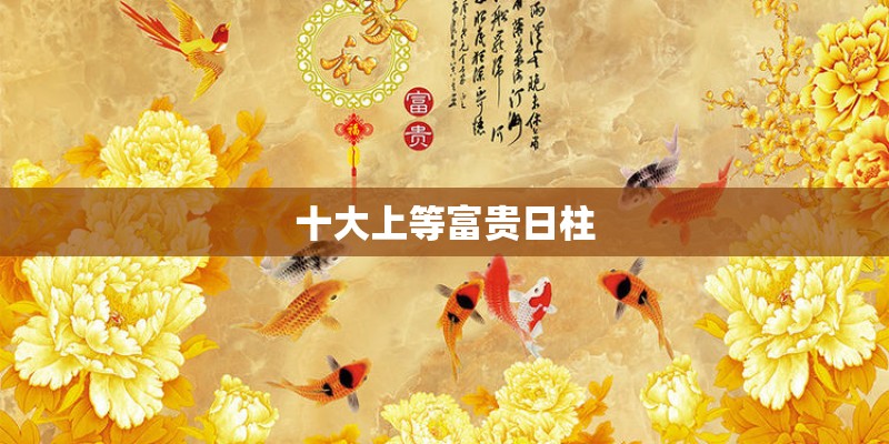 免费改名...