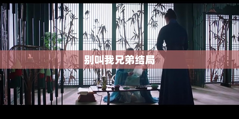 别叫我兄弟结局