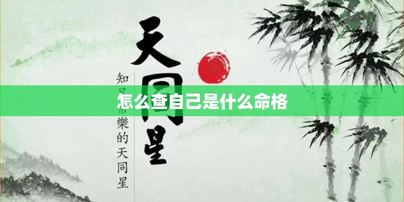 怎么查自己是什么命格