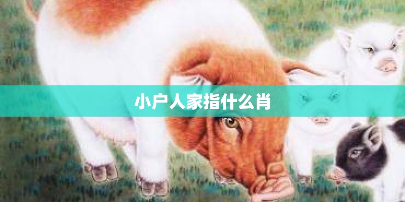 小户人家指什么肖